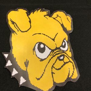 Meet your Posher, Alisha